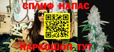 дурь Бийск